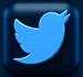Twitter Link